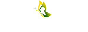 Metamorphoo Logo